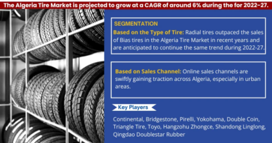 Algeria Tire Market Growth Dynamics: Size, Share, and Trend Analysis Report