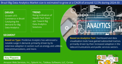 Brazil Big Data Analytics Market Demand, Drivers and Opportunities 2024-2030