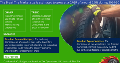 Brazil Tire Market Demand, Drivers and Opportunities 2024-2030