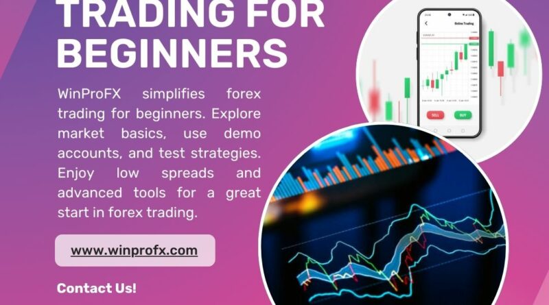 Forex Trading For Beginners