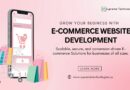 Professional e-commerce website development services for business growth.