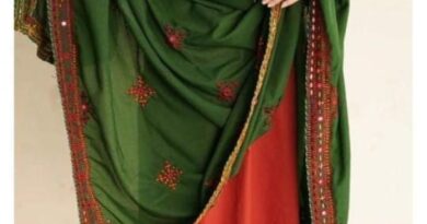 EMBROIDERED SLEEVES ALONG WITH HEAVY PALLU 4 SIDE DUPATA