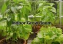 Indoor-grow-room