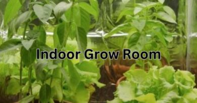 Indoor-grow-room