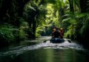 Kerala Backwater Tours: A Magical Journey Through Nature