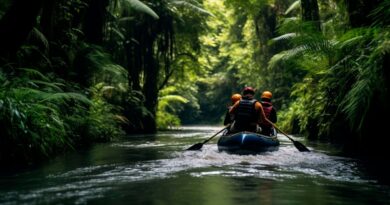 Kerala Backwater Tours: A Magical Journey Through Nature