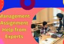 Management Assignment Help from Experts