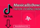 MusicallyDown – Download Video Tiktok Without Watermark