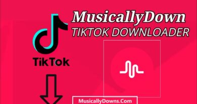 MusicallyDown – Download Video Tiktok Without Watermark