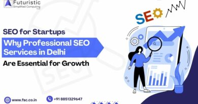 Professional SEO Services in Delhi