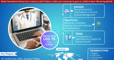 Telemedicine Market Comprehensive Analysis and Forecast 2024 to 2030