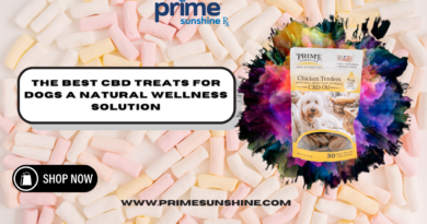 CBD Treats for Dogs