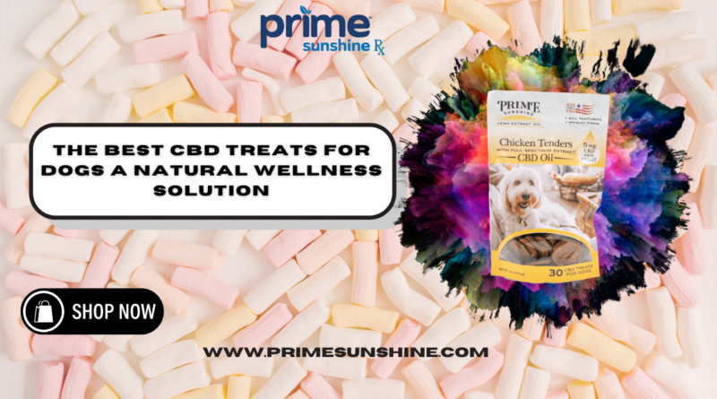 CBD Treats for Dogs