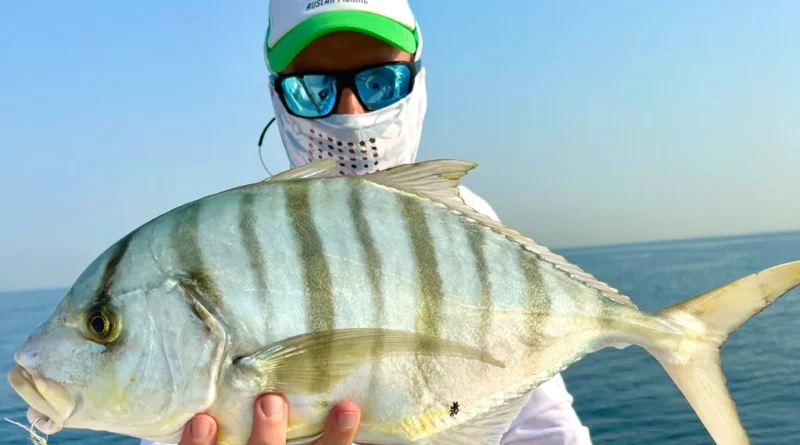 Fresh Fish Dubai: Your Guide to the Best Catches