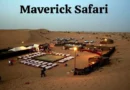 Morning Desert Safari Dubai with Private Land Cruiser