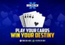 Indian Best Andar Bahar Live Casino: Winexch’s Greatest Gaming Destination