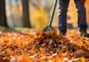 Yard Waste Removal Services