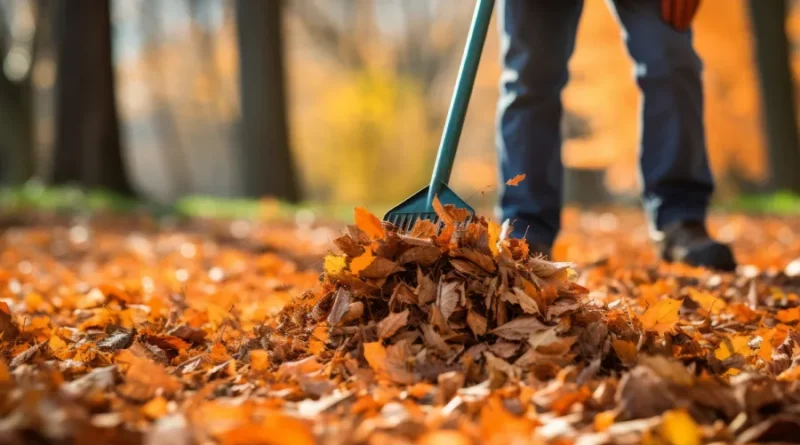 Yard Waste Removal Services