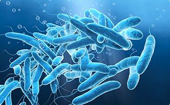 The Cutting-Edge of Targeted Protein Degradation: PROTACs, Linkers, and Molecular Glues