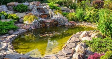 garden ponds installation service