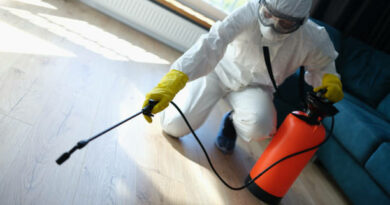 Termite and Rodent Control in Los Angeles: Protect Your Property with OceanView Pest Control