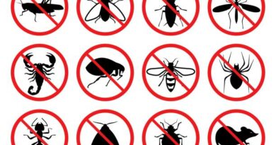 Tick and Flea Control Services