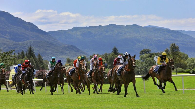 Killarney horse racing