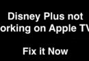 disneyplus.com begin