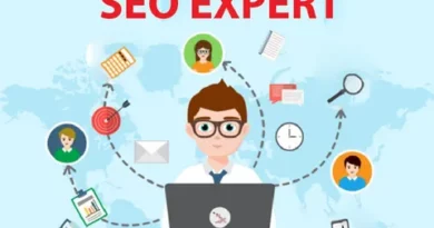 best seo expert