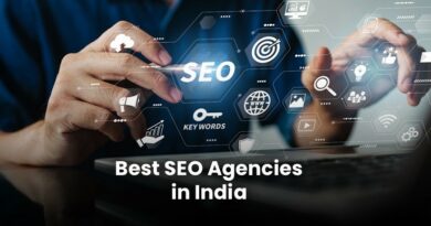 seo company in south delhi