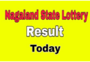 Dear Lottery Result Today | Nagaland State 1 PM, 6 PM, 8 PM