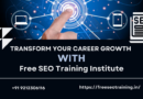 SEO Course at the Best SEO Training Institute in Delhi NCR