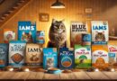 Cat Dry Food Reviews The Best Options for Your Feline Friend