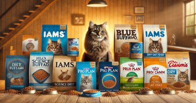 Cat Dry Food Reviews The Best Options for Your Feline Friend