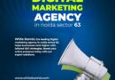 Digital marketing agency in Noida | White Bunnie