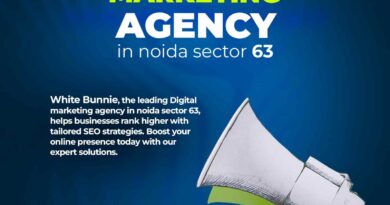 Digital marketing agency in Noida | White Bunnie