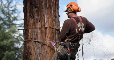 Tree Pruning Service