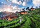 Darjeeling Tour: A Complete Travel Guide to the Queen of Hills