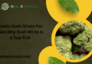 Exotic Kush Strain For Sale