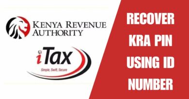 KRA Pin Registration for foreigners