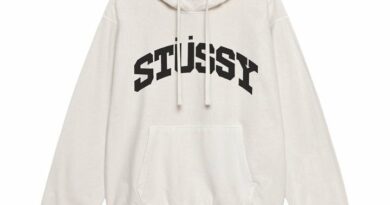 STUSSY BLOCK SPORT HOODIE WHITE