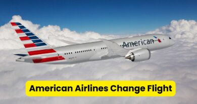 american airlines change flight