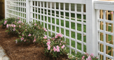 split rail fence​