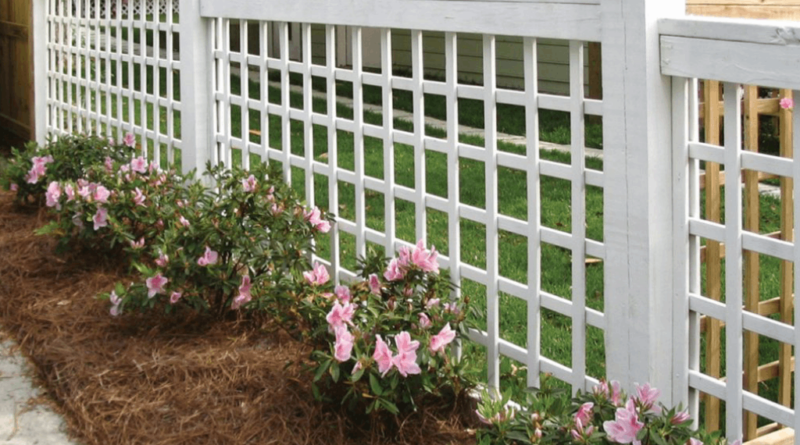 split rail fence​