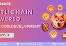 Multichain Power Meme Coin Development – Startup Guide For Beginners